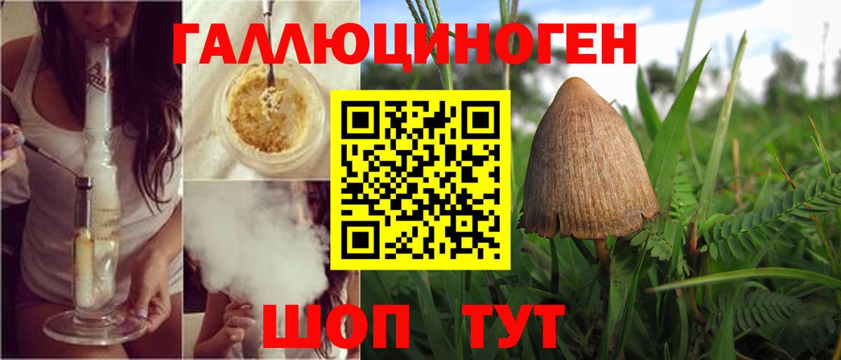 Пенза  Псилоцибиновые грибы мухоморы  Вход с VPN 