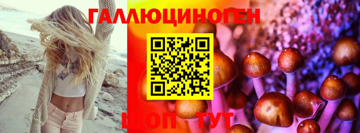 Псилоцибиновые грибы MAGIC MUSHROOMS Пенза